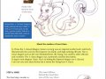Asian_dragons_tutorial_by_Cedarseed.jpg